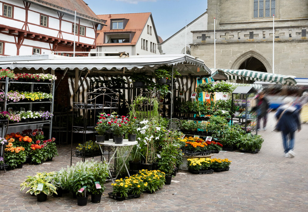 Blumenhändler auf dem Wochenmarkt in Bad Saulgau