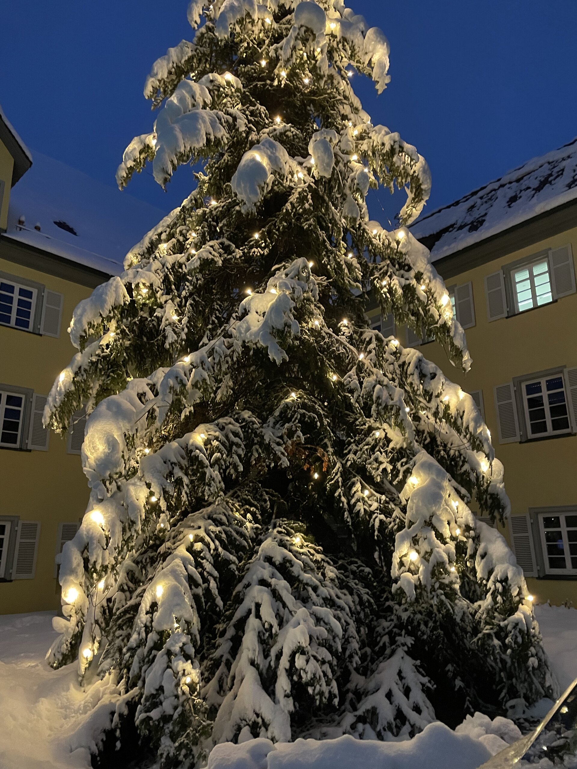 Oberamteihof_Baum_Weihnachten
