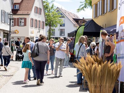 Happy Family Day Buntes Treiben