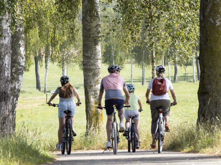 Eine Gruppe von vier Radfahrern, darunter zwei Kinder, fährt auf dem von Birken gesäumten Siessener Fussweg durch eine grüne, ländliche Landschaft.