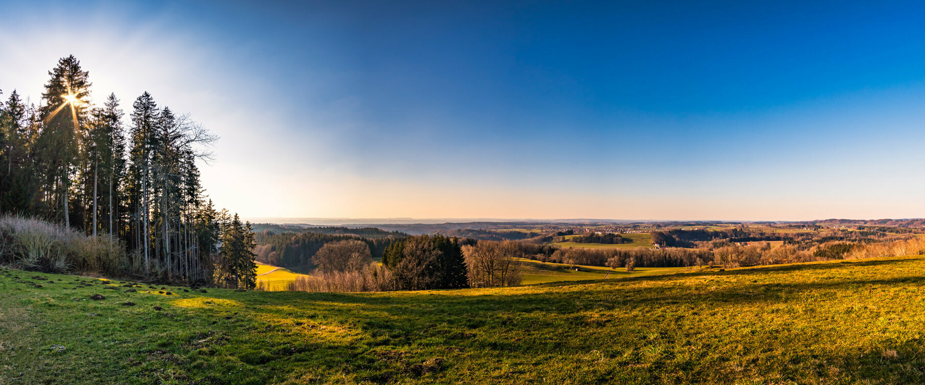 Blick von einer Lichtung auf das Gebiet des Altdorfer Waldes
